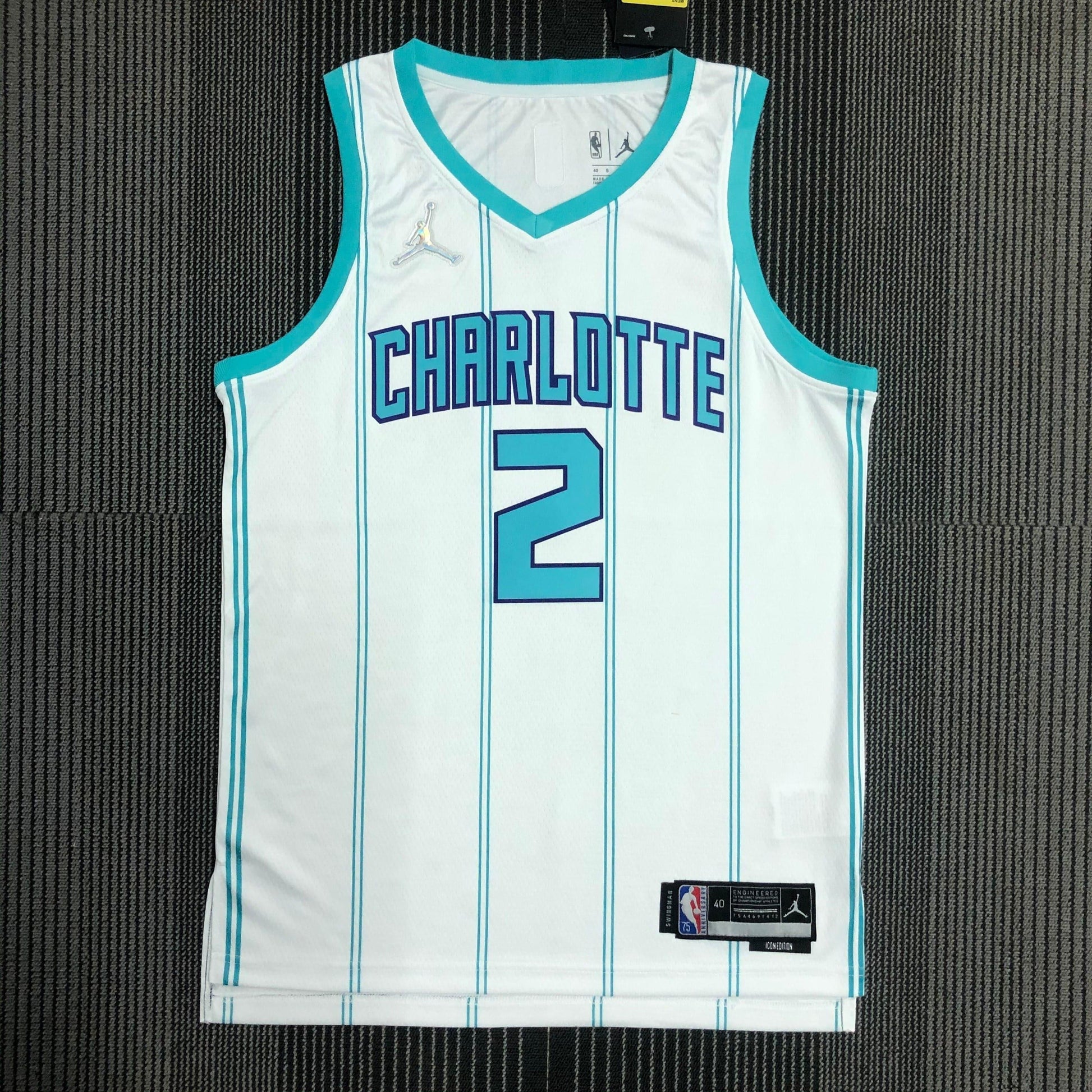 Jersey Charlotte Hornets Association Edition Diamante 75th - GOAT STORE