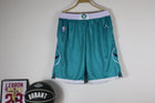 Charlotte Hornets Icon Edition Shorts 22/23